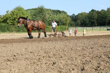 Plough day Wezemaal (BE) 2018 © Ann Muys