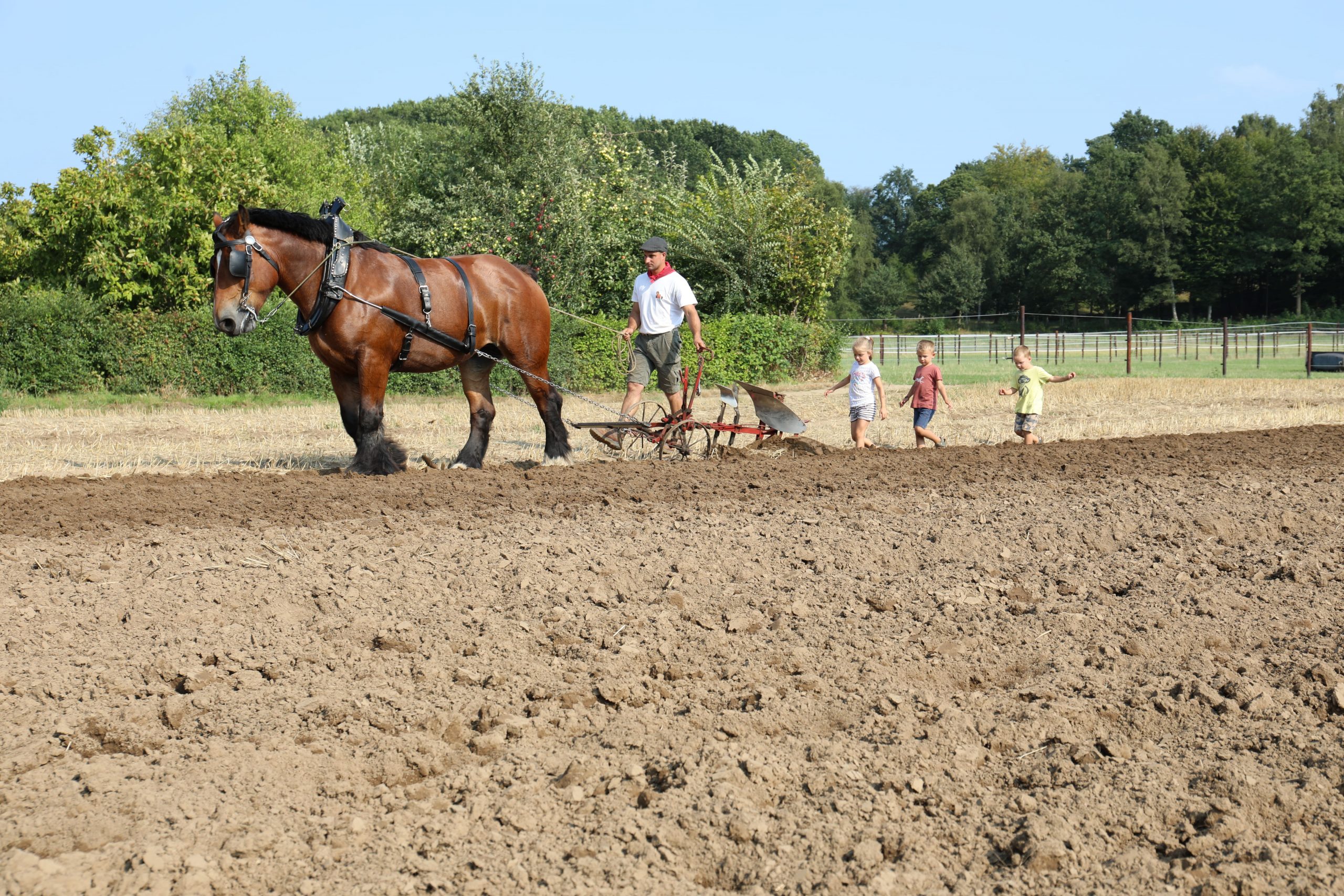 Ploegdag_Wezemaal_2018_AnnMuys (1)
