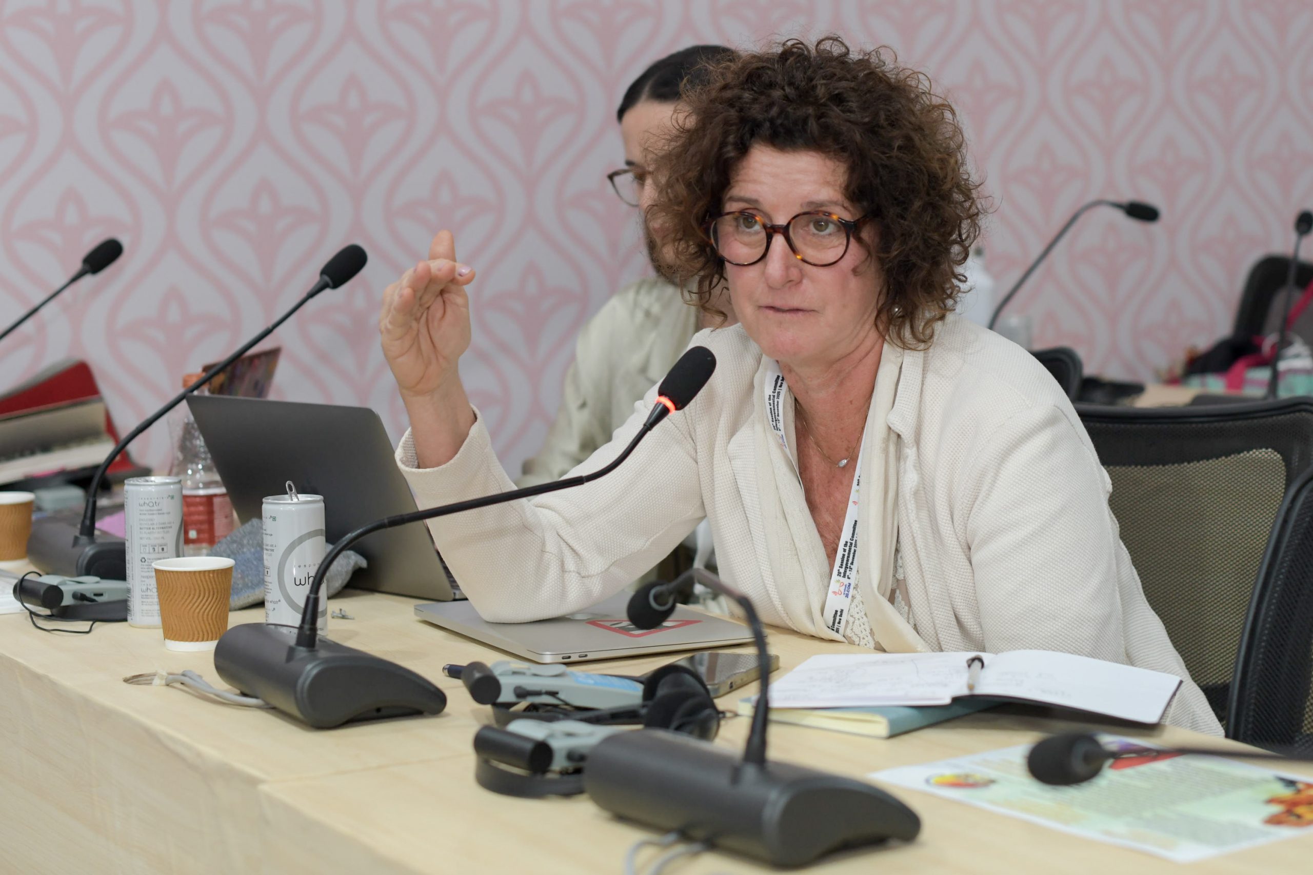 ICHNGO Symposium © UNESCO/Paras Mendiratta